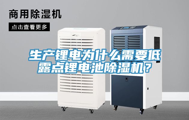 生產(chǎn)鋰電為什么需要低露點鋰電池除濕機？