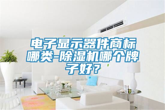 電子顯示器件商標(biāo)哪類-除濕機(jī)哪個牌子好？