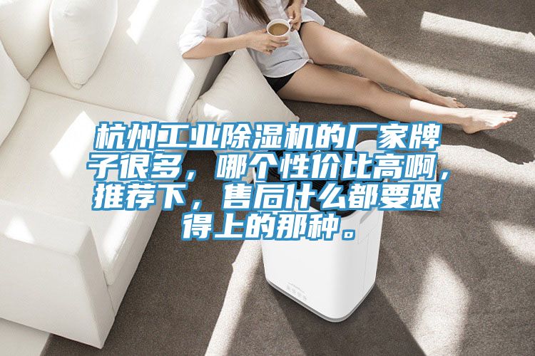 杭州工業(yè)除濕機(jī)的廠家牌子很多，哪個(gè)性價(jià)比高啊，推薦下，售后什么都要跟得上的那種。