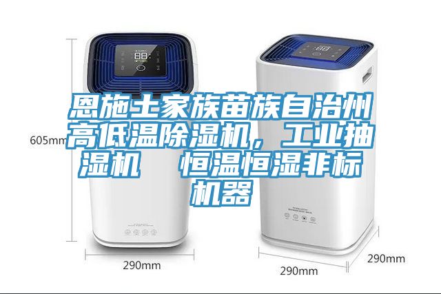 恩施土家族苗族自治州高低溫除濕機(jī)，工業(yè)抽濕機(jī)  恒溫恒濕非標(biāo)機(jī)器