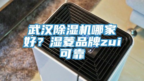 武漢除濕機(jī)哪家好？濕菱品牌zui可靠