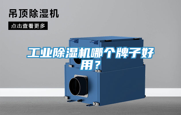 工業(yè)除濕機(jī)哪個(gè)牌子好用？