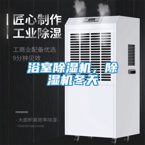 浴室除濕機，除濕機冬天