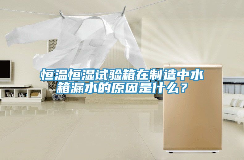恒溫恒濕試驗(yàn)箱在制造中水箱漏水的原因是什么？