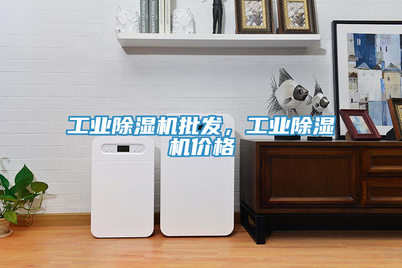 工業(yè)除濕機(jī)批發(fā)，工業(yè)除濕機(jī)價(jià)格