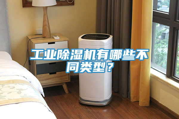 工業(yè)除濕機有哪些不同類型？