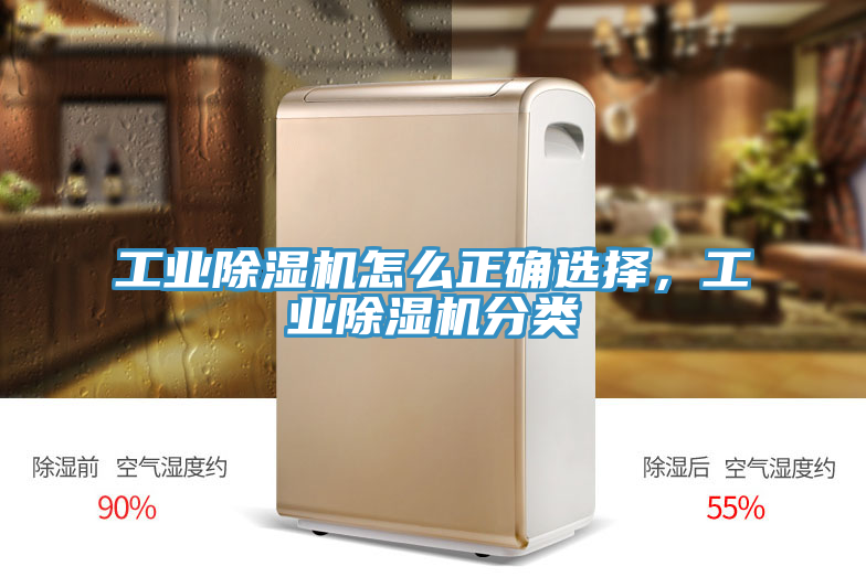 工業(yè)除濕機(jī)怎么正確選擇，工業(yè)除濕機(jī)分類(lèi)