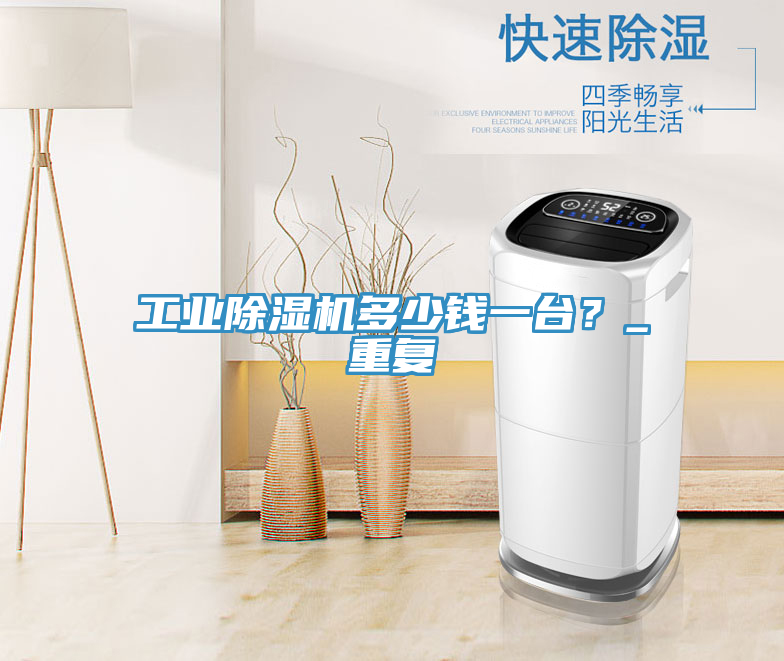 工業(yè)除濕機多少錢一臺？_重復