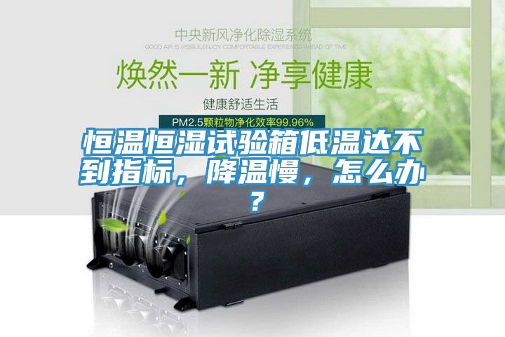 恒溫恒濕試驗(yàn)箱低溫達(dá)不到指標(biāo)，降溫慢，怎么辦？