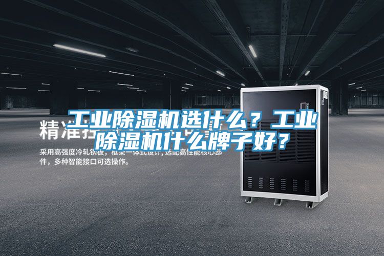 工業(yè)除濕機選什么？工業(yè)除濕機什么牌子好？