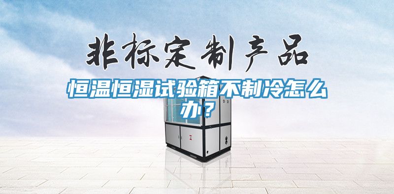 恒溫恒濕試驗箱不制冷怎么辦？