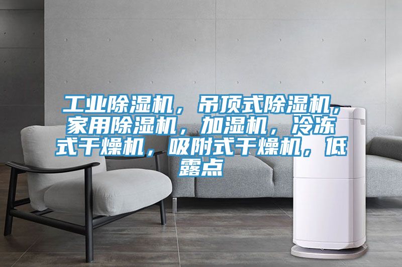 工業(yè)除濕機(jī)，吊頂式除濕機(jī)，家用除濕機(jī)，加濕機(jī)，冷凍式干燥機(jī)，吸附式干燥機(jī)，低露點(diǎn)