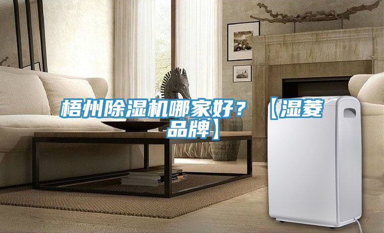 梧州除濕機哪家好？【濕菱品牌】
