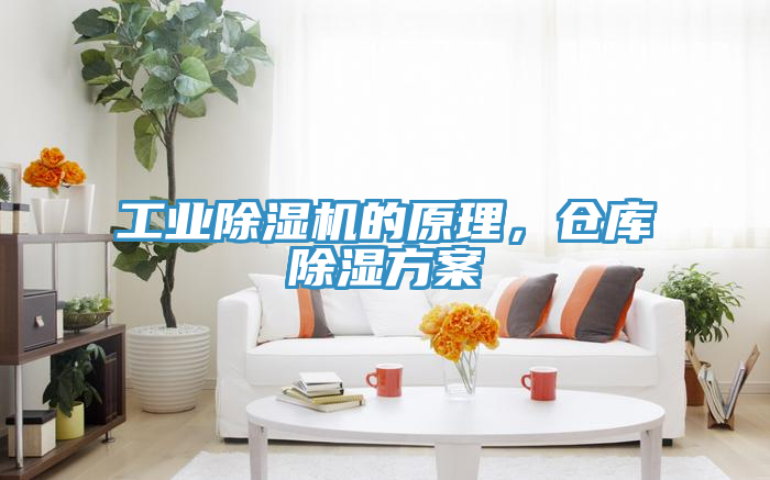 工業(yè)除濕機的原理，倉庫除濕方案