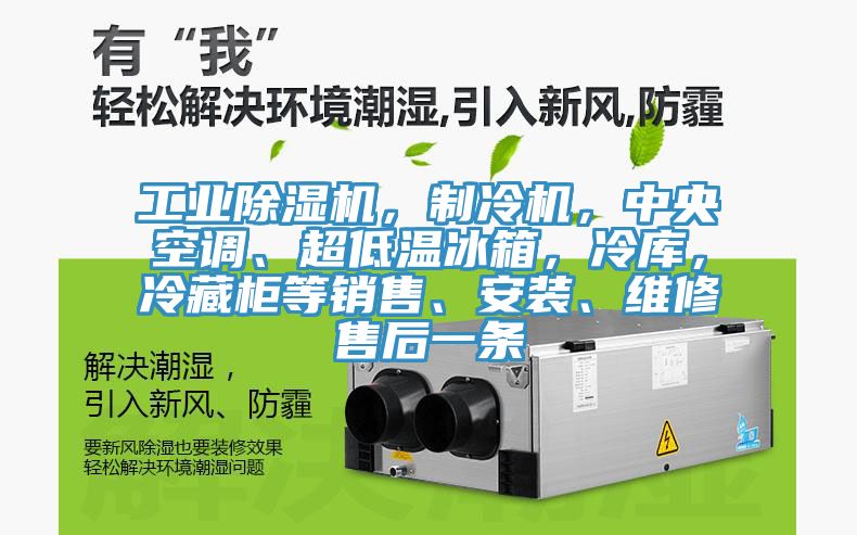 工業(yè)除濕機(jī)，制冷機(jī)，中央空調(diào)、超低溫冰箱，冷庫(kù)，冷藏柜等銷(xiāo)售、安裝、維修售后一條