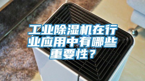 工業(yè)除濕機在行業(yè)應(yīng)用中有哪些重要性？