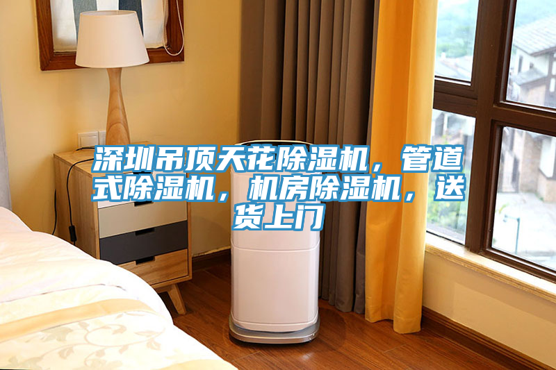 深圳吊頂天花除濕機(jī)，管道式除濕機(jī)，機(jī)房除濕機(jī)，送貨上門