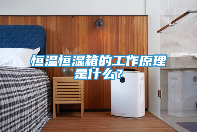 恒溫恒濕箱的工作原理是什么？
