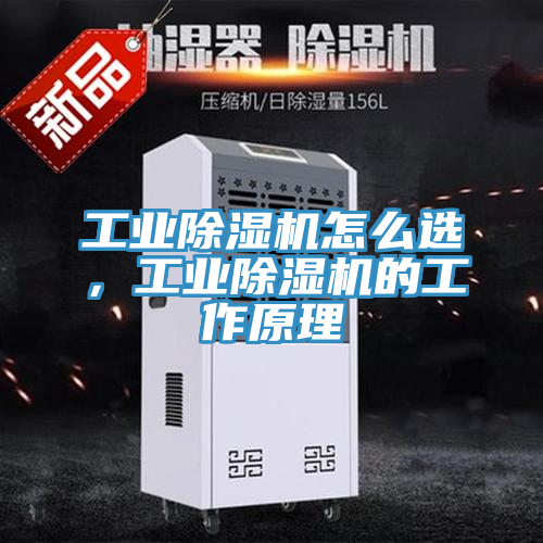 工業(yè)除濕機(jī)怎么選，工業(yè)除濕機(jī)的工作原理