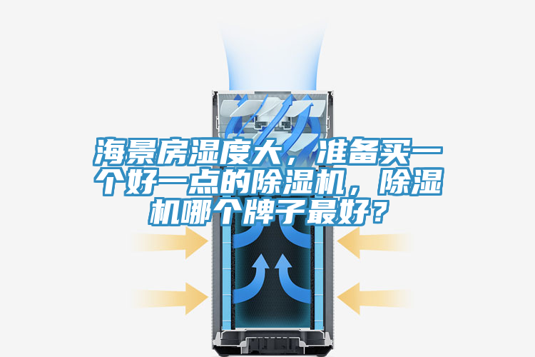海景房濕度大，準(zhǔn)備買一個(gè)好一點(diǎn)的除濕機(jī)，除濕機(jī)哪個(gè)牌子最好？