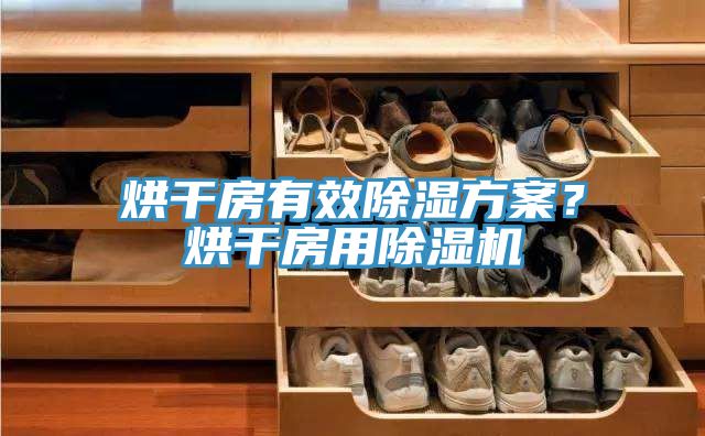 烘干房有效除濕方案？烘干房用除濕機(jī)