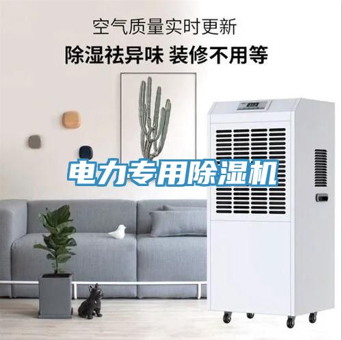 電力專(zhuān)用除濕機(jī)
