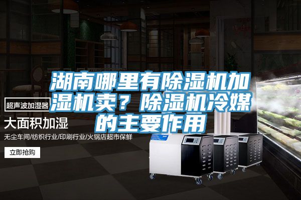 湖南哪里有除濕機(jī)加濕機(jī)賣？除濕機(jī)冷媒的主要作用