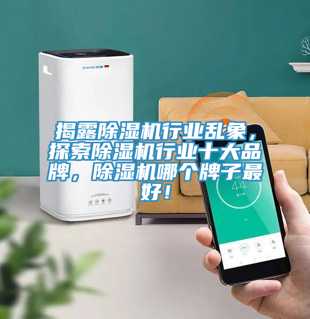 揭露除濕機(jī)行業(yè)亂象，探索除濕機(jī)行業(yè)十大品牌，除濕機(jī)哪個(gè)牌子最好！