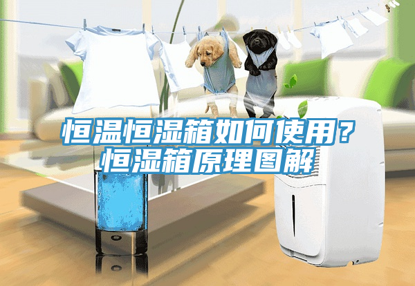 恒溫恒濕箱如何使用？恒濕箱原理圖解