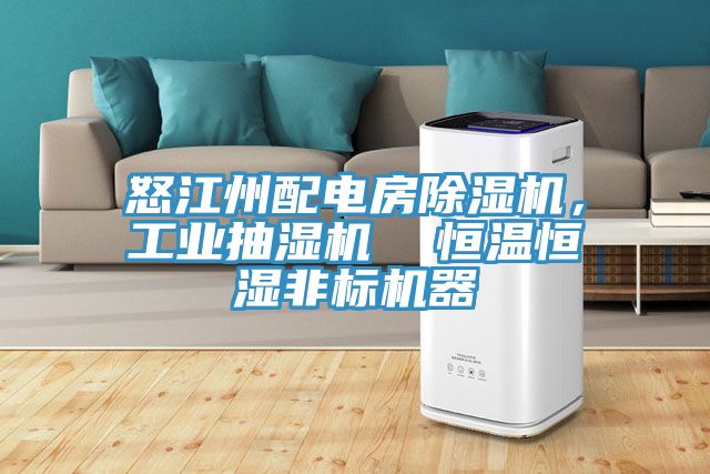 怒江州配電房除濕機(jī)，工業(yè)抽濕機(jī)  恒溫恒濕非標(biāo)機(jī)器