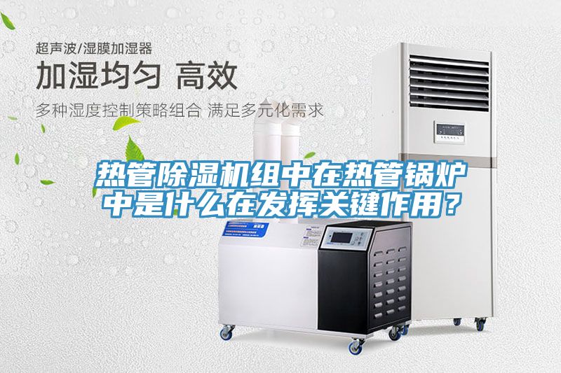 熱管除濕機(jī)組中在熱管鍋爐中是什么在發(fā)揮關(guān)鍵作用？