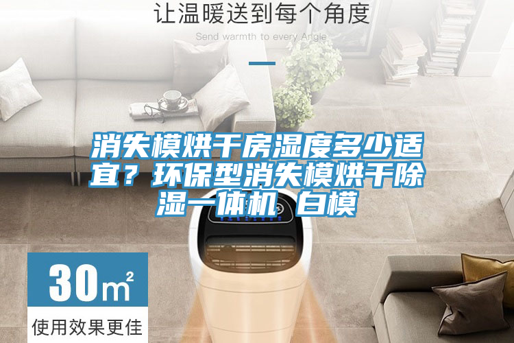消失模烘干房濕度多少適宜？環(huán)保型消失模烘干除濕一體機(jī) 白模
