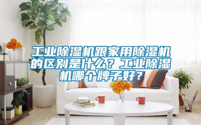 工業(yè)除濕機跟家用除濕機的區(qū)別是什么？工業(yè)除濕機哪個牌子好？