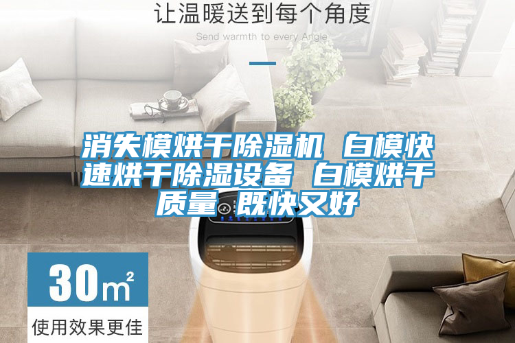 消失模烘干除濕機(jī) 白?？焖俸娓沙凉裨O(shè)備 白模烘干質(zhì)量 既快又好