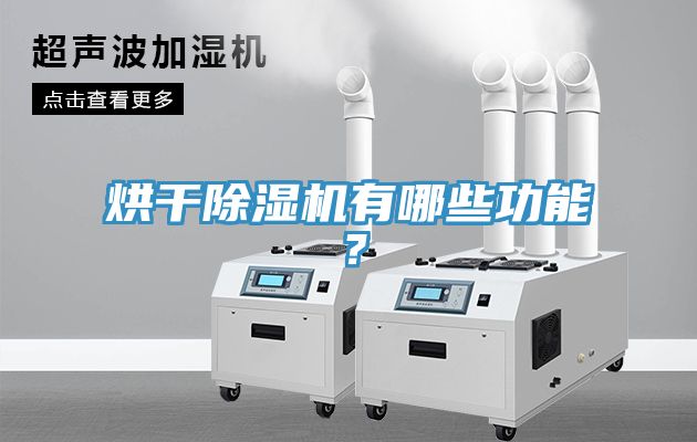 烘干除濕機有哪些功能？