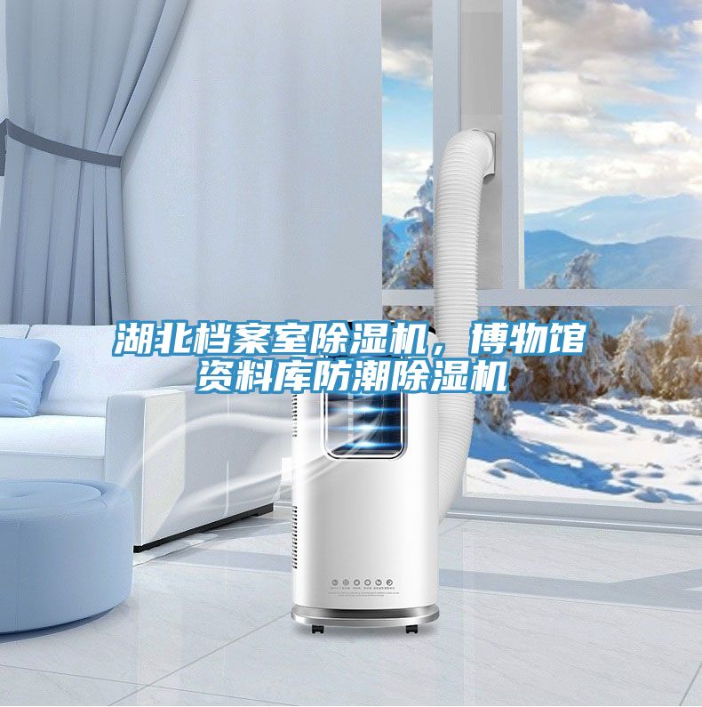 湖北檔案室除濕機(jī)，博物館資料庫(kù)防潮除濕機(jī)