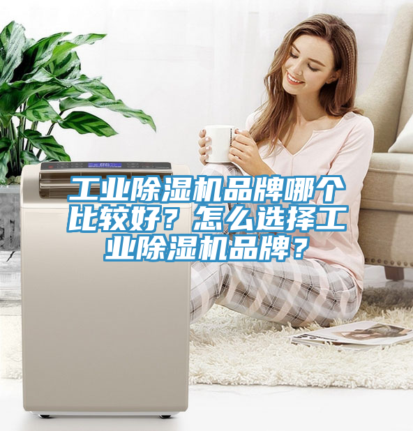 工業(yè)除濕機(jī)品牌哪個(gè)比較好？怎么選擇工業(yè)除濕機(jī)品牌？