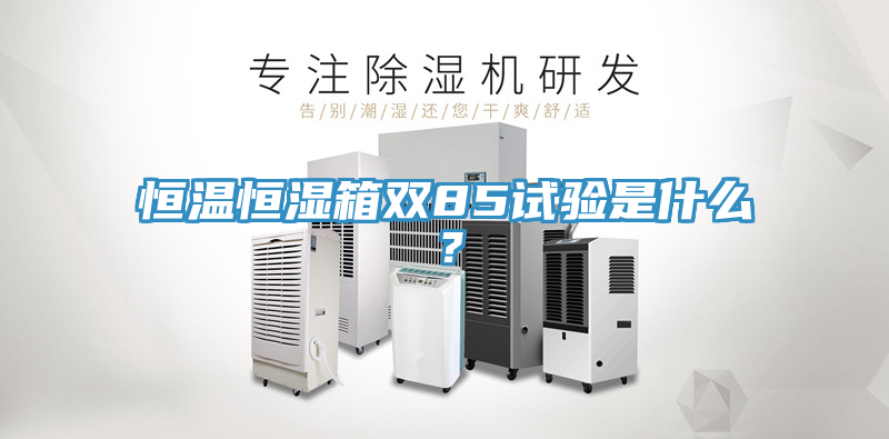 恒溫恒濕箱雙85試驗是什么？