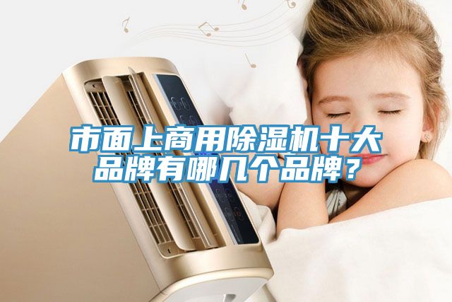 市面上商用除濕機(jī)十大品牌有哪幾個(gè)品牌？