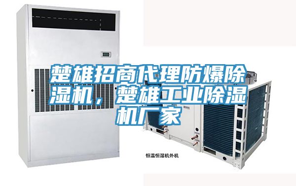 楚雄招商代理防爆除濕機，楚雄工業(yè)除濕機廠家