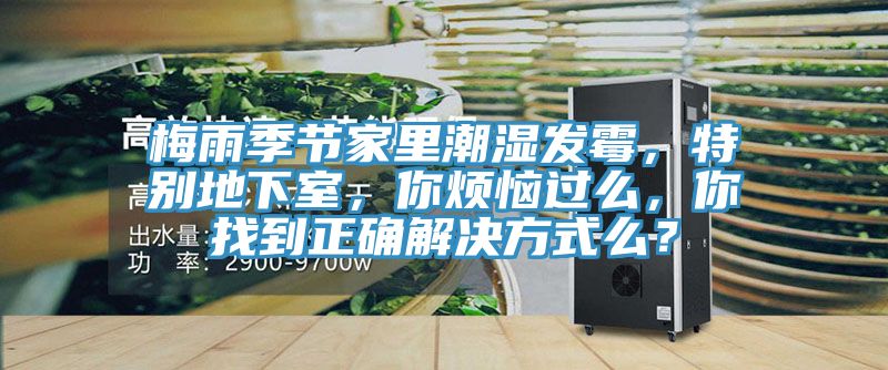 梅雨季節(jié)家里潮濕發(fā)霉，特別地下室，你煩惱過么，你找到正確解決方式么？
