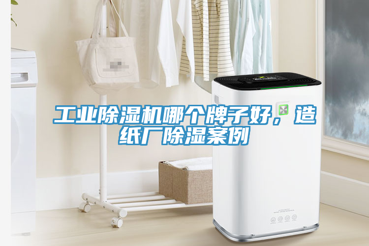 工業(yè)除濕機(jī)哪個(gè)牌子好，造紙廠(chǎng)除濕案例