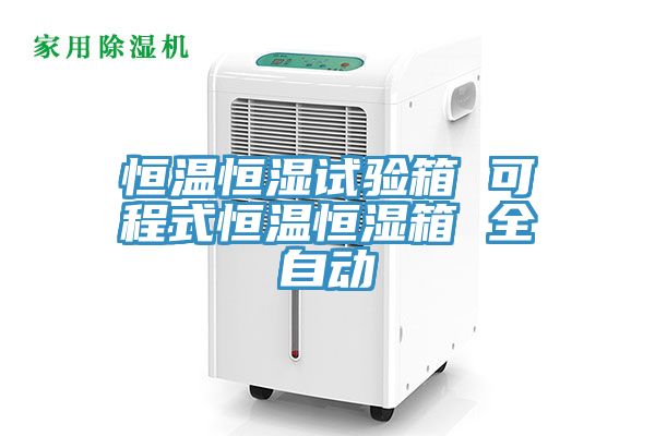 恒溫恒濕試驗(yàn)箱 可程式恒溫恒濕箱 全自動