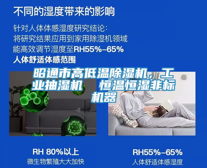 昭通市高低溫除濕機，工業(yè)抽濕機  恒溫恒濕非標機器