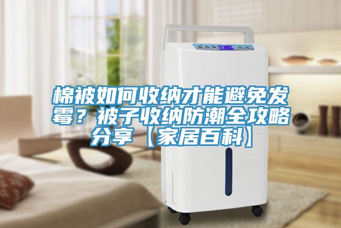 棉被如何收納才能避免發(fā)霉？被子收納防潮全攻略分享【家居百科】