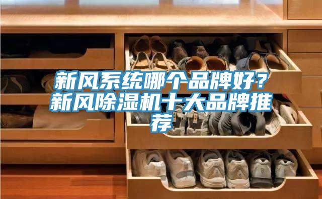 新風(fēng)系統(tǒng)哪個品牌好？新風(fēng)除濕機十大品牌推薦