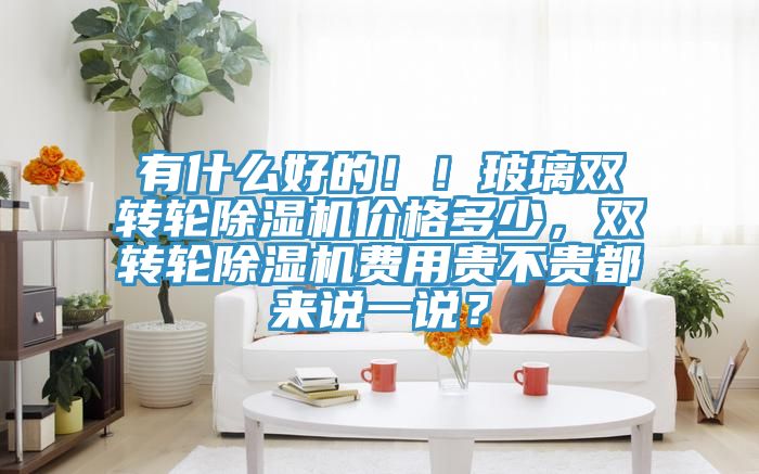 有什么好的?。〔Ａщp轉(zhuǎn)輪除濕機(jī)價格多少，雙轉(zhuǎn)輪除濕機(jī)費(fèi)用貴不貴都來說一說？