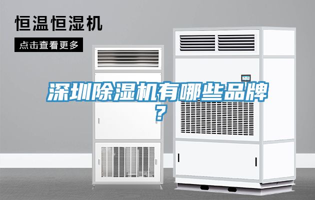 深圳除濕機有哪些品牌？