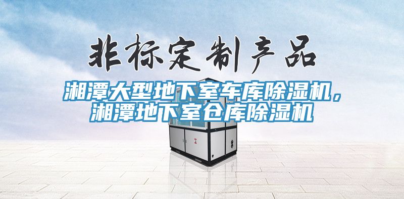 湘潭大型地下室車庫除濕機(jī)，湘潭地下室倉庫除濕機(jī)