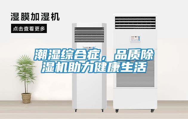 潮濕綜合癥，品質(zhì)除濕機(jī)助力健康生活